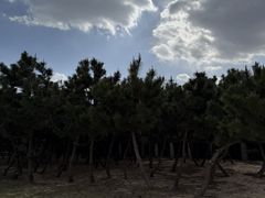 -山东八大碗山东老字号