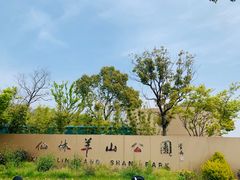 -羊山湖公园