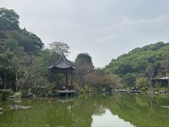 -云溪植物园