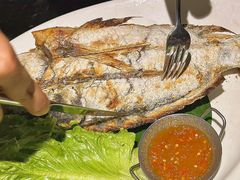 -金厨泰国餐厅·全泰籍厨师料理(拱北店)
