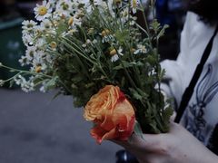 -循礼门鲜花花市(武汉循礼门店)