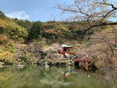 -醍醐寺