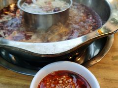 -金鼎雪山牦牛杂火锅(理县总店)