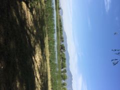 景点-野鸭湖国家湿地公园