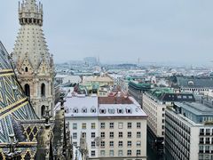-斯蒂芬主教座堂(Stephansdom)