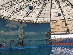 -尼莫海豚馆