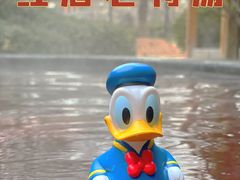 -仁爱团泊湖温泉中心
