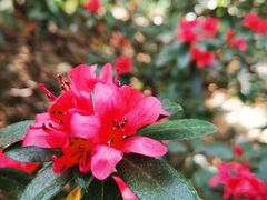 -天龙八部武侠城