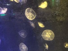 -无锡海洋馆