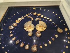 -青岛贝壳博物馆