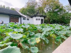 -红梅公园
