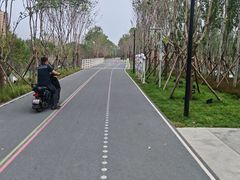 -石榴庄公园