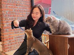 -豆逗聊愈猫阁Easy Life