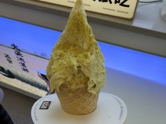 -野人先生现做冰淇淋(北京悠唐购物中心店)