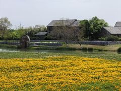 -江苏三台山国家森林公园