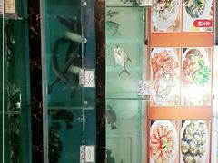 -源海渔村·现捞海鲜(大角湾店)