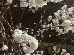 -南翠屏公园