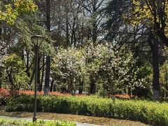 -七宝老街-闵行市民文化广场