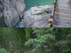 -广州白江湖森林公园