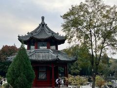 -莲池书院博物馆