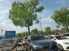 -野生动物园-停车场