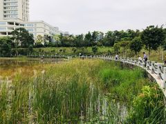 -松坪山公园