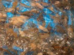 -星伦多自助料理(江阴万达店)