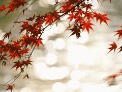 -康儿面馆(建国北路店)