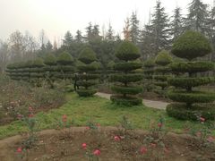 -洛阳市隋唐城遗址植物园