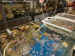 点菜区-东宴(温岭店)
