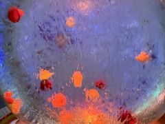 -西安曲江海洋极地公园