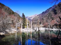 -叠溪松坪沟景区