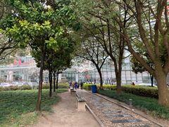 -上海中医药大学附属曙光医院(东部)