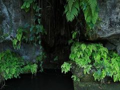 -广州兰圃