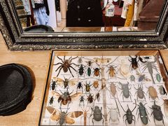 -恋物百货商店(华侨城店)