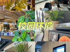 -馥郁咖啡培训(宝安校区)