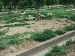 -秦皇岛野生动物园