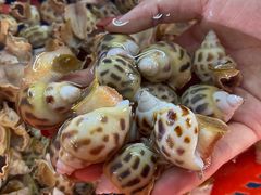 -马王堆海鲜水产市场