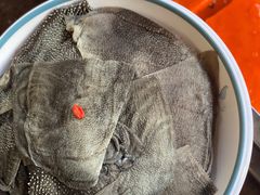 极品毛肚-凤来栖·净庭院·火锅(欧尚店)