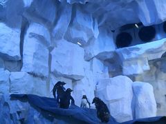 -华夏文旅海洋公园