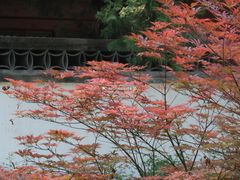 -香山公园