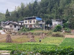 -谭家菜农夫山庄