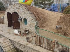 -南宫五洲植物乐园