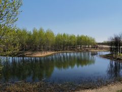 -东郊湿地公园
