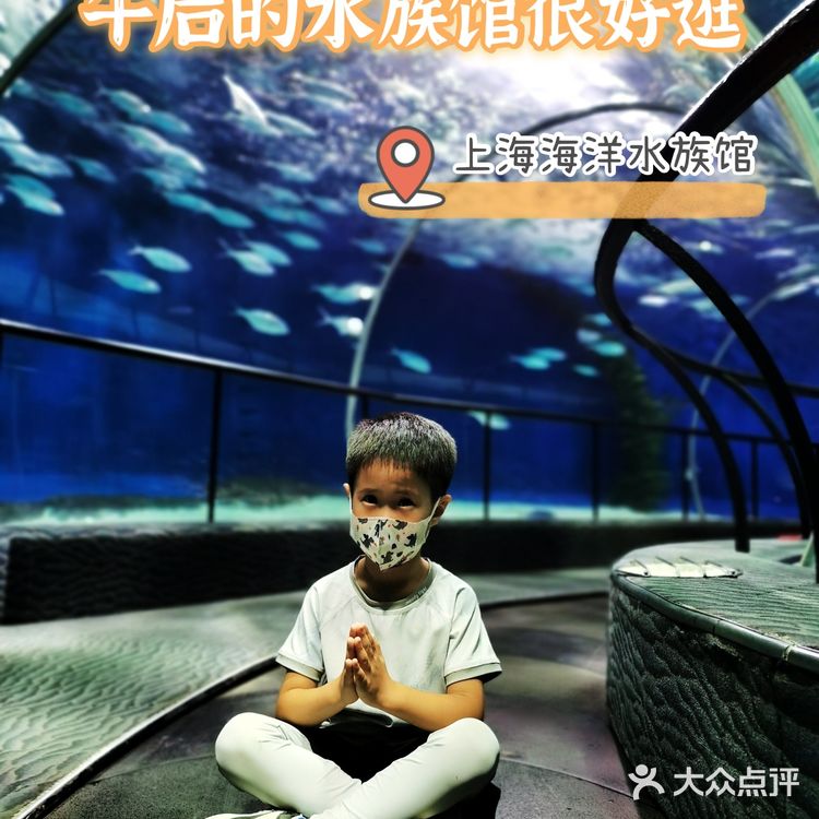 魔都探店：午后的上海海洋水族馆很好逛