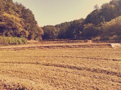 -韶山毛泽东同志故居