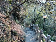 -雀儿山公园
