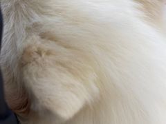 -怪兽屋·羊驼·猫咖·狗咖(俊华广场店)