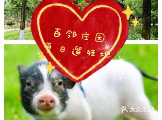 夏日爆款‖西安必打卡的儿童乐园