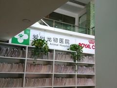 -爱侣宠医·鹦鹉专科·小型哺乳类·异宠专科(灵石路店)